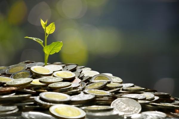 Planta creciendo sobre un montón de monedas.